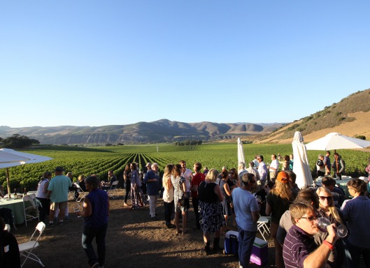 Kimberly Spies Photography/ Guests at the 2014 Wine & Fire Barn Party relish the gorgeous view of the Sta. Rita Hills from the Sanford & Benedict Vineyard historic barn